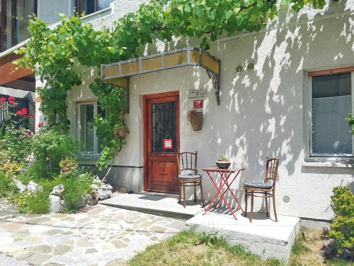 Apartma Raft, Bovec Kültér fotó